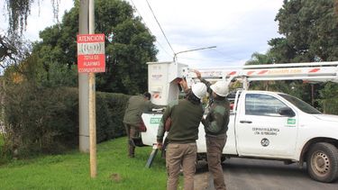 La Cooperativa Eléctrica de Pergamino refuerza el servicio con obras clave en la zona del Aeroclub