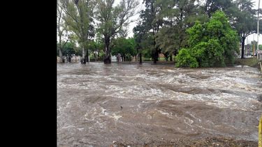El Arroyo ha demostrada esta última semana lo peligroso y dañino que puede resultar. (LA OPINION)