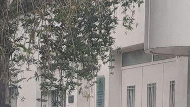 La mujer se encontraba en los consultorios médicos de Mitre al 1200 cuando irrumpió el ladrón a arrebatarle la cartera. La mujer se encontraba en los consultorios médicos de Mitre al 1200 cuando irrumpió el ladrón a arrebatarle la cartera.
