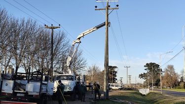 Desde la Cooperativa Eléctrica de Pergamino realizaron mejoras y obras de mantenimiento en zona sur