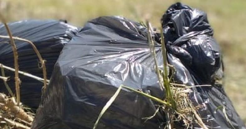 El servicio de recolección de ramas, escombros y residuos voluminosos es un servicio gratuito que presta la Municipalidad de Pergamino