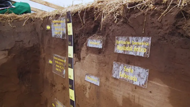 sis inta: una herramienta clave para conocer los suelos de argentina sis inta: una herramienta clave para conocer los suelos de argentina