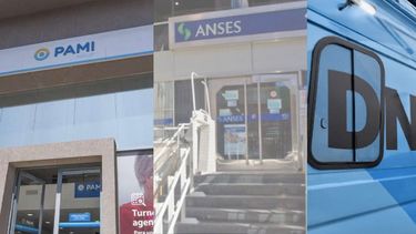 Los organismos que se convierten en botines de la política. Los organismos que se convierten en botines de la política.