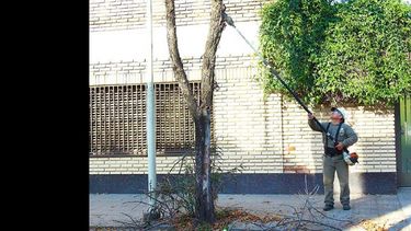 Ayer los trabajos se llevaron a cabo en calle Echevarría. (LA OPINION)