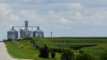 La campaña sigue bien encaminada, pero el clima ya no juega de memoria. La campaña sigue bien encaminada, pero el clima ya no juega de memoria.