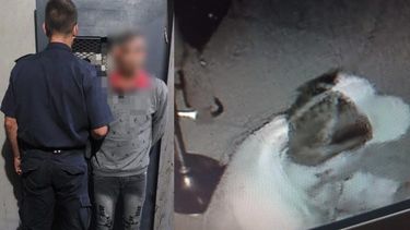 El sujeto detenido tiene un tatuaje en el lateral derecho del cuello y la gorra filmada por las cámaras de seguridad estaba en la casa allanada.