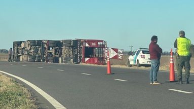 Volcó un camión con porcinos en la autopista de la ruta 8 y decenas de personas faenaron los animales Volcó un camión con porcinos en la autopista de la ruta 8 y decenas de personas faenaron los animales