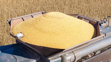 alivio fiscal: el gobierno vuelve a bajar retenciones al campo a dias de fin de ano alivio fiscal: el gobierno vuelve a bajar retenciones al campo a dias de fin de ano