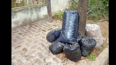 Los restos verdes y ramas deben disponerse sobre la vereda.  (ARCHIVO LA OPINION)