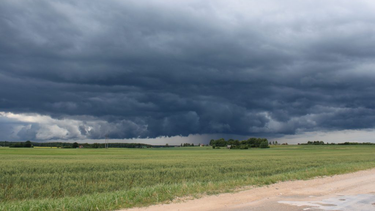 las lluvias ponen en riesgo la cosecha gruesa en la region nucleo las lluvias ponen en riesgo la cosecha gruesa en la region nucleo