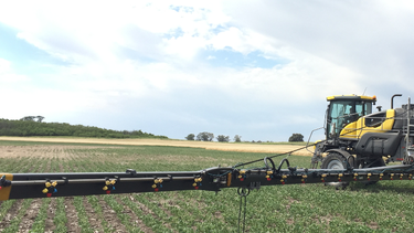 ley nacional de fitosanitarios: la redbpa impulsa un marco comun para todo el pais ley nacional de fitosanitarios: la redbpa impulsa un marco comun para todo el pais