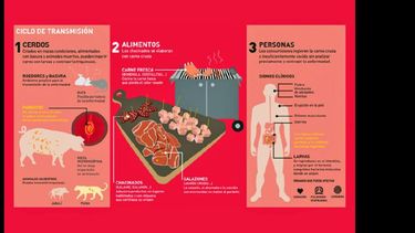Bromatología a través de la información trabaja en la campaña provincial para evitar casos de triquinosis en el Partido.  (LA OPINION)