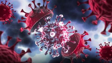 No hay evidencia de que cause cuadros más graves que otras variantes de Covid-19.