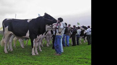La lechería dirá presente en AgroActiva la semana que viene.  (AGROACTIVA)