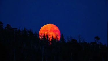 Así se verá la Luna de sangre el domingo 7 de septiembre. Así se verá la Luna de sangre el domingo 7 de septiembre.