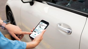 La medida abarca tanto el Impuesto a los Automotores (Patente) como el Inmobiliario, en todas sus variantes. La medida abarca tanto el Impuesto a los Automotores (Patente) como el Inmobiliario, en todas sus variantes.