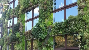 Las fachadas verdes son una tendencia creciente en Argentina, integrando la naturaleza en espacios urbanos y ofreciendo beneficios ambientales y estéticos. Las fachadas verdes son una tendencia creciente en Argentina, integrando la naturaleza en espacios urbanos y ofreciendo beneficios ambientales y estéticos.