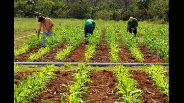 La sustentabilidad y el agregado de valor de la agricultura familiar serán los temas centrales de las jornadas.  (INTERNET)