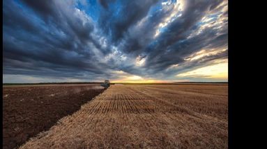 La iniciativa se lanzó hace un mes en la región, en Brasil, con 500 productores, con quienes se trabaja a nivel captura de carbono en el campo. (BAYER)