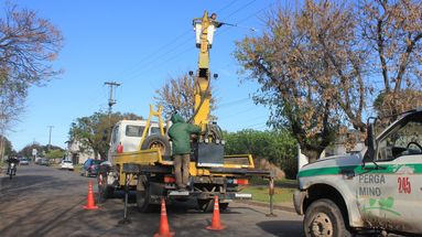La Cooperativa Eléctrica de Pergamino ejecuta obras para optimizar el sistema de distribución