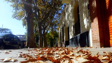Pergamino, entre el color del otoño y el desafío de cuidar el ambiente