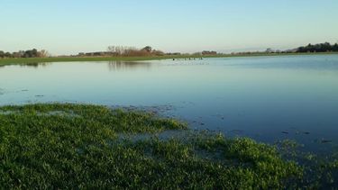 luego de un invierno historico, las lluvias se normalizarian en primavera luego de un invierno historico, las lluvias se normalizarian en primavera