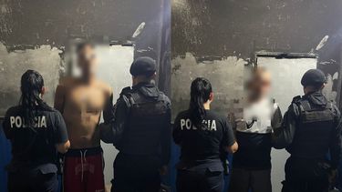 abigeato en mariano h. alfonzo: recuperaron un cerdo robado en un criadero y aprehenden a los dos sospechosos abigeato en mariano h. alfonzo: recuperaron un cerdo robado en un criadero y aprehenden a los dos sospechosos