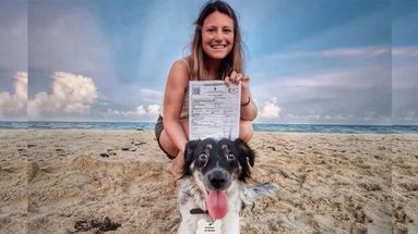 Claves para viajar con una mascota al exterior. Claves para viajar con una mascota al exterior.