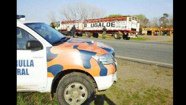 Se realizan operativos de interceptación en vehículos que transportan hacienda en pie.  (INTERNET)