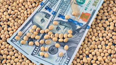 La medida celebrada por productores duró sólo tres días hábiles y ahora el enojo es mayúsculo. La medida celebrada por productores duró sólo tres días hábiles y ahora el enojo es mayúsculo.