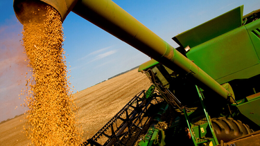 La medida llega en un momento delicado del plan económico del Gobierno. La medida llega en un momento delicado del plan económico del Gobierno.