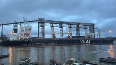 Yasa Tokyo: pudo zarpar del puerto De San Pedro Yasa Tokyo: pudo zarpar del puerto De San Pedro