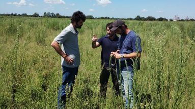 El primer Parque Solar de Pergamino ya es una realidad: comenzaron las obras en el predio