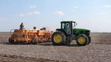 Los productores rurales llevan sembrado el 98,5% de los 6,3 millones de hectáreas que serán dedicados al trigo. Los productores rurales llevan sembrado el 98,5% de los 6,3 millones de hectáreas que serán dedicados al trigo.