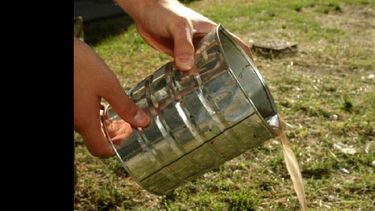 Eliminar recipientes que puedan acumular agua y servir a la cría del mosquito es la principal acción para prevenir. (ARCHIVO)