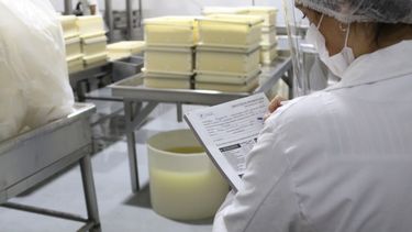 pergamino: advierten sobre personas ajenas a bromatologia que se hacen pasar por inspectores del area pergamino: advierten sobre personas ajenas a bromatologia que se hacen pasar por inspectores del area