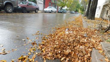 otono en pergamino: entre la belleza del paisaje y el desafio de las hojas en las calles otono en pergamino: entre la belleza del paisaje y el desafio de las hojas en las calles