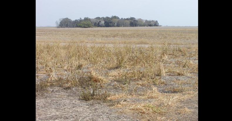 El Gobierno bonaerense declaró el estado de emergencia o desastre agropecuario en 33 partidos del distrito en diferentes períodos entre el 1° de junio y el 31 de diciembre de 2022.