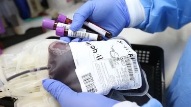 Actualizaron el sistema de donación de sangre: no más pedido de dadores de familiares