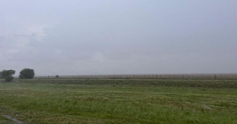 Las lluvias de esta semana serán importantes, no solo para consolidar la recuperación en la región núcleo, sino también para otras zonas de la región pampeana