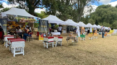 Con el objetivo de fortalecer la producción apícola y promover la mejora genética en el sector, se llevó a cabo este sábado el 9° Encuentro Nacional de Criadores de Abejas Reinas. Con el objetivo de fortalecer la producción apícola y promover la mejora genética en el sector, se llevó a cabo este sábado el 9° Encuentro Nacional de Criadores de Abejas Reinas.