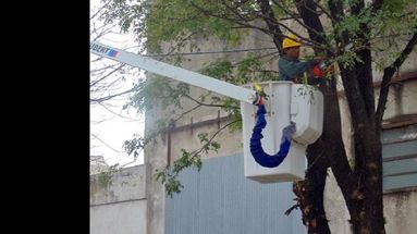 Las intervenciones se vienen realizando en distintos barrios. (LA OPINION)