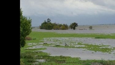 El fenómeno El Niño se extendería durante el otoño. (INTA INFORMA)