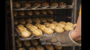 Panaderos en alerta por esta medida y el impacto directo en los precios de la harina; los próximos días serán determinantes para saber cómo se acomoda el sector.