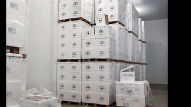 La Región Sanitaria IV recibió hasta el momento 14.400 dosis para abastecer a municipios. (MINISTERIO DE SALUD)