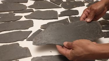 El Museo Paleontológico de San Pedro logró recuperar en las últimas horas fragmentos del piso más antiguo conocido de la ciudad, perteneciente al antiguo convento franciscano que dio origen a San Pedro. El Museo Paleontológico de San Pedro logró recuperar en las últimas horas fragmentos del piso más antiguo conocido de la ciudad, perteneciente al antiguo convento franciscano que dio origen a San Pedro.