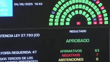 Discapacidad: el Senado rechazó el veto y Milei deberá promulgar la ley Discapacidad: el Senado rechazó el veto y Milei deberá promulgar la ley