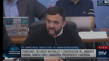 Leonardo Grosso, presidente de la Comisión de Recursos Naturales y Conservación del Ambiente Humano; Agricultura y Ganadería; y Presupuesto y Hacienda.