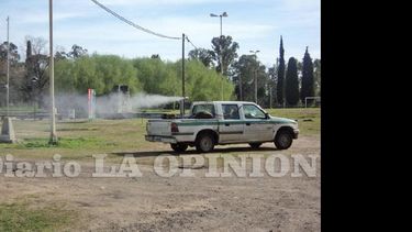 Las fumigaciones volverán a realizarse en distintas zonas de la ciudad. (LA OPINION)