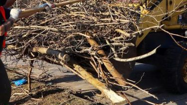 Recolección de residuos voluminosos: así será el cronograma de diciembre